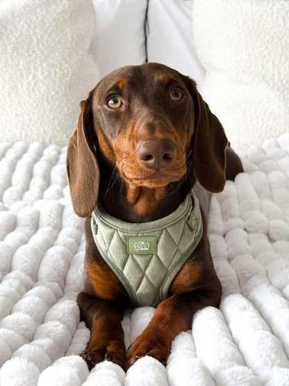 Sage Quilted Velvet Harness