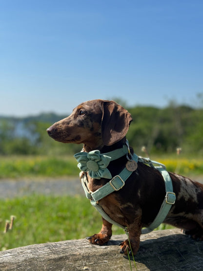 Timeless Sage Velvet Fully Adjustable Harness
