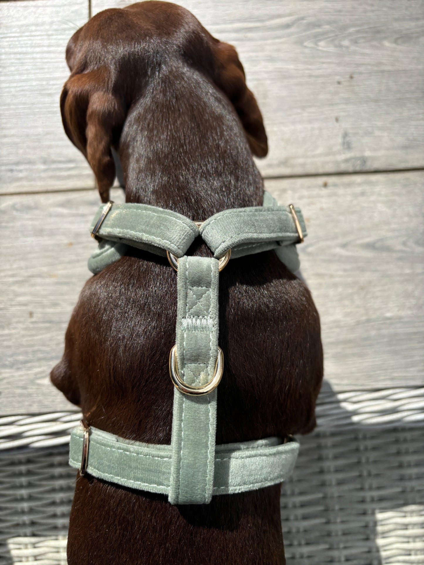 Sage Quilted Velvet Harness