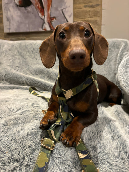 Camouflage Fully Adjustable Harness