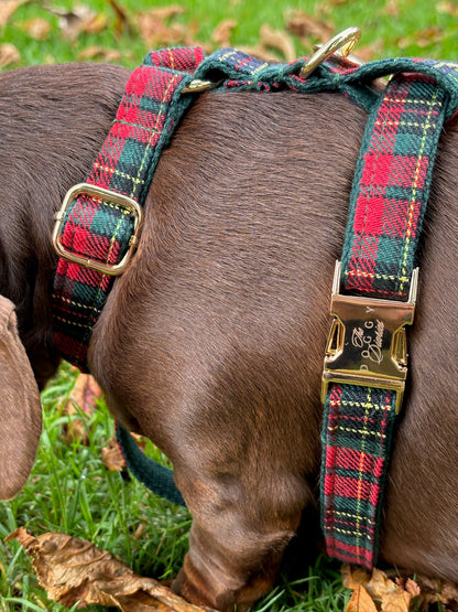Tartan Fully Adjustable Harness