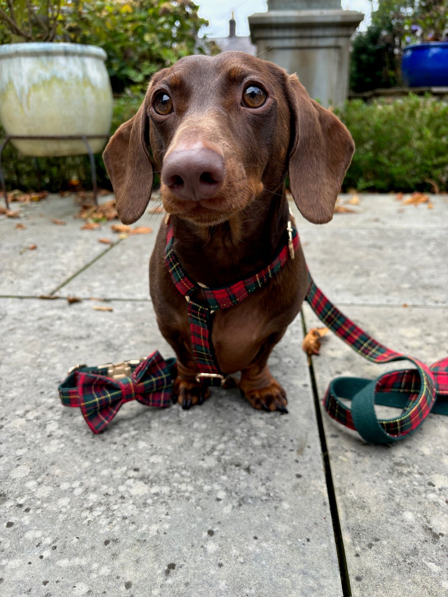 Tartan Fully Adjustable Harness