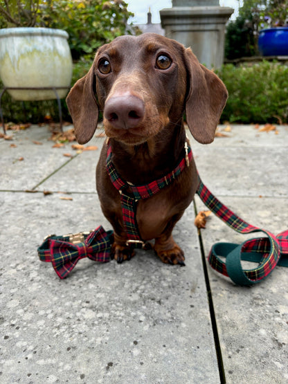 Tartan Fully Adjustable Harness
