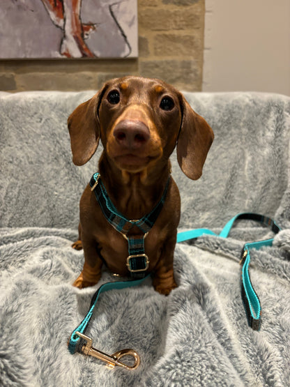 Original Plaid Fully Adjustable Harness